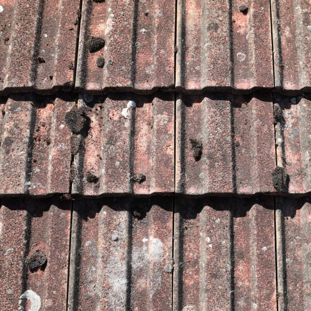 Copy of ANTHRACITE GREY (STOCKED) (21)